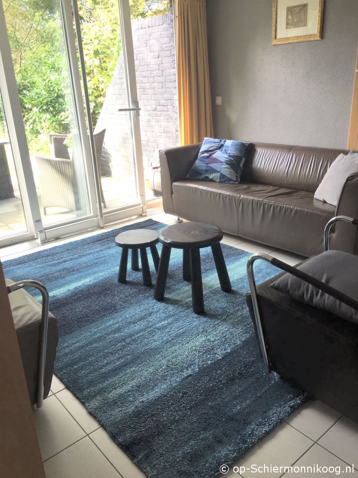  IJsvogel